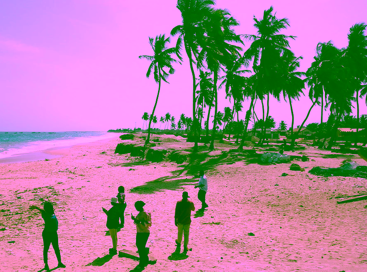 Eroding beach with palm trees and houses in between and people walking on the beach